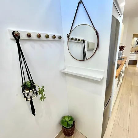 Estudio Consul Lägenhet