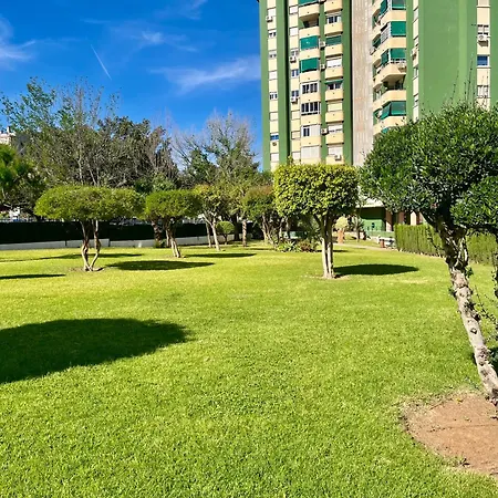 Estudio Consul * Málaga